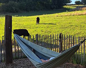 Ontspannen in een hangmat bij Huisje in Wahlwiller, vakantiehuis in Zuid Limburg, met grazende koeien.
