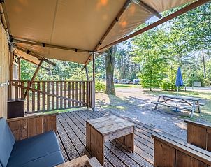 Veranda van Safaritent 6B in Mierlo, De Peel, Noord Brabant, biedt uitzicht op groene natuur en gezellige buitenruimte voor glampingplezier.