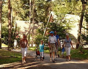 Verblijf 400215 - Bungalow De Peel - Bospark 't Wolfsven 7