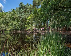 Verblijf 400215 - Bungalow De Peel - Bospark 't Wolfsven 7