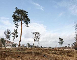 Verblijf 400216 - Bungalow De Peel - Bospark 't Wolfsven 8