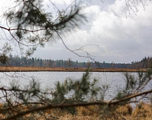 Verblijf 400216 - Bungalow De Peel - Bospark 't Wolfsven 8