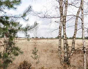 Verblijf 400216 - Bungalow De Peel - Bospark 't Wolfsven 8