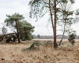 Verblijf 400216 - Bungalow De Peel - Bospark 't Wolfsven 8