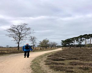 Verblijf 400216 - Bungalow De Peel - Bospark 't Wolfsven 8