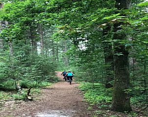 Verblijf 400216 - Bungalow De Peel - Bospark 't Wolfsven 8