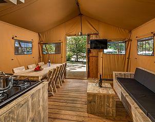 Guest house 400217 - Tent house De Peel - Safaritent 6A