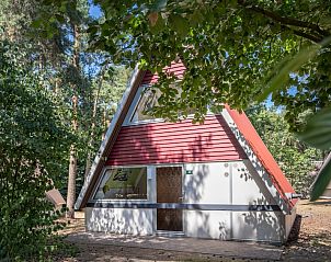 Guest house 400218 - Bungalow De Peel - W6A Comfort