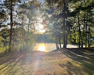 Unterkunft 400233 - Ferienhaus De Peel - Vakantiehuis BPW 1155 - Bospark Wolfsven