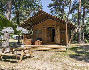 Verblijf 400241 - Tenthuis De Peel - Bospark «'t Wolfsven 12»