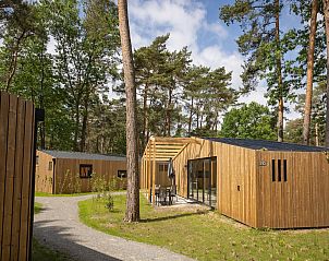 Unterkunft 400246 - Chalet De Peel - Bospark 't Wolfsven 18