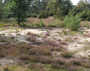 Guest house 400321 - Holiday property De Peel - Geschakelde woning in Vlierden