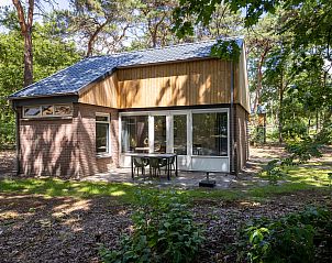 Terras van vrijstaande woning in Vlierden, vakantiehuis in De Peel, Noord Brabant met groene omgeving.