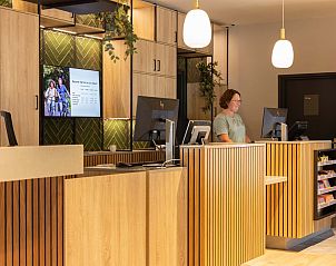 Bar in vrijstaande woning in Vlierden, vakantiehuis De Peel, Noord Brabant voor gezellige avonden.