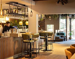 Lounge in vrijstaande woning in Vlierden, vakantiehuis De Peel, Noord Brabant met sfeervolle open haard.