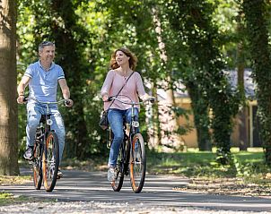 Wandelen in de natuur rondom vrijstaande woning in Vlierden, vakantiehuis De Peel, Noord Brabant.