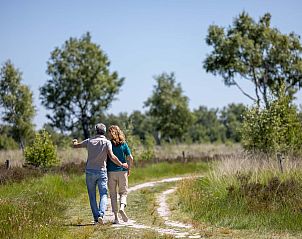Uitzichtpunt nabij vrijstaande woning in Vlierden, vakantiehuis De Peel, Noord Brabant voor panoramisch uitzicht.