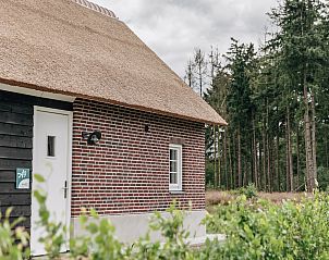 Verblijf 400415 - Vakantiewoning De Peel - Resort De Heihorsten 1