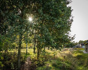 Verblijf 400415 - Vakantiewoning De Peel - Resort De Heihorsten 1