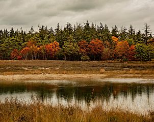 Verblijf 400417 - Vakantiewoning De Peel - Resort De Heihorsten 3