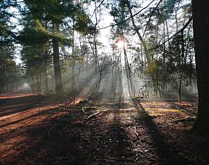 Verblijf 400419 - Vakantiewoning De Peel - Resort De Heihorsten 4