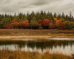 Verblijf 400419 - Vakantiewoning De Peel - Resort De Heihorsten 4