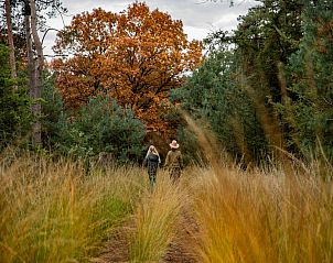 Verblijf 400421 - Vakantiewoning De Peel - Resort De Heihorsten 6