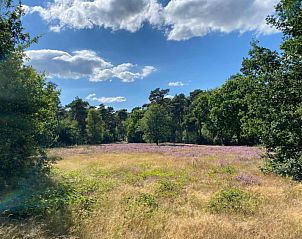 Unterkunft 400422 - Ferienhaus De Peel - Resort De Heihorsten 8