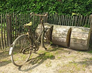 Vintage fiets bij Huisje in Aarle-Rixtel, vakantieverblijf in Aarle-Rixtel, De Peel.