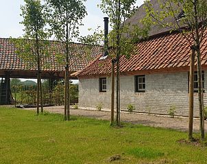 Groene buitenruimte van Huisje in Aarle-Rixtel, vakantieverblijf in De Peel, Noord Brabant.