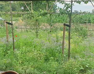 Uitzicht op de tuin vanuit Huisje in Aarle-Rixtel, vakantieverblijf in Aarle-Rixtel.