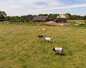 Unterkunft 401002 - Ferienhaus De Peel - Huisje in Gassel