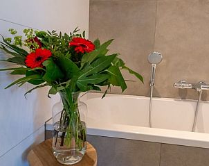 Unterkunft 401002 - Ferienhaus De Peel - Huisje in Gassel