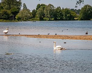 Unterkunft 401002 - Ferienhaus De Peel - Huisje in Gassel