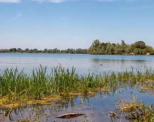 Unterkunft 401002 - Ferienhaus De Peel - Huisje in Gassel