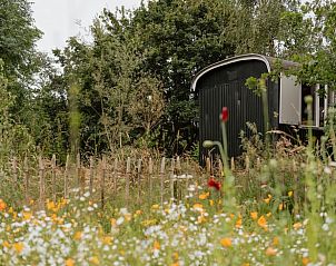 Unterkunft 401003 - Ferienhaus De Peel - Vakantiehuisje in Gassel