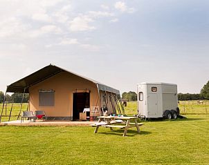 Verblijf 401304 - Tenthuis De Peel - Ranchtent + Airco