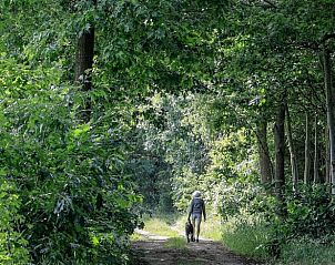Unterkunft 401418 - Ferienhaus De Peel - Vakantiehuis in Lierop