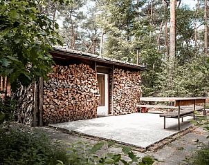 Ruime buitenruimte van Huisje in Helmond, vakantiehuis in De Peel, Noord Brabant, met picknicktafel.