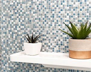 Planten in de badkamer voor een frisse uitstraling in Huisje in Helmond, vakantiehuis in De Peel, Noord Brabant.