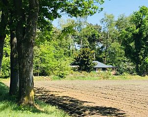Huisje in Milheeze, vakantiehuis verscholen in het groen van De Peel, Noord Brabant.