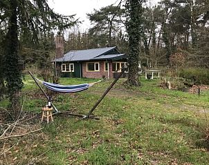 Zonnige tuin van Huisje in Milheeze, vakantiehuis in De Peel, Noord Brabant.