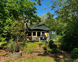 Bloeiende natuur bij vijver, Huisje in Milheeze, vakantiehuis in De Peel, Noord Brabant.