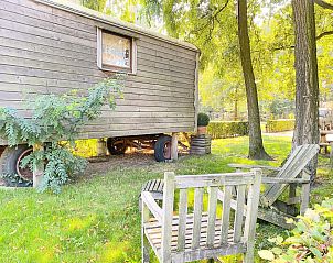 Schne Aussicht auf eine Wiese bei Pipowagen het Oventje in Zeeland, De Peel, Nordbrabant mit grasenden Pferden.