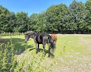 Moderne Duscheinrichtungen in Pipowagen het Oventje in Zeeland, De Peel, Nordbrabant fr einen komfortablen Aufenthalt.