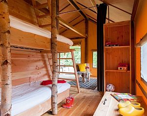 Guest house 402017 - Tent house De Peel - Barntent