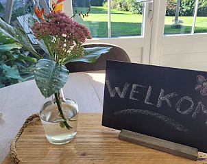 Charmant vakantiehuisje in Zeeland met zonnig terras en groene tuin in De Peel, Noord Brabant.