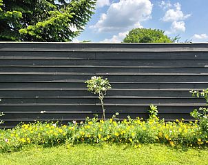 Bloemen en groen rondom Huisje in Zeeland, een charmante vakantiewoning in De Peel, Noord Brabant.