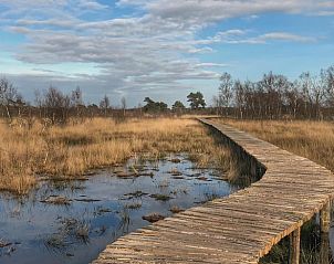 Unterkunft 402304 - Ferienhaus De Peel - Vakantiehuis in Deurne