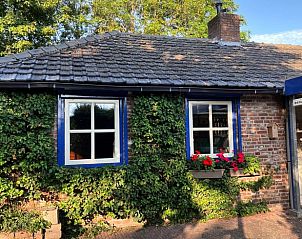 Gezellige buitenkant van vakantiehuisje in Deurne met groene klimop, De Peel, Noord Brabant.